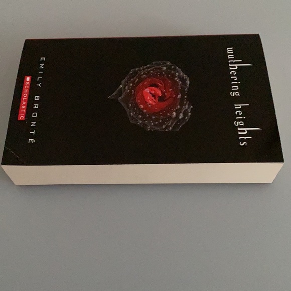 Wuthering Heights Paperback Chapter book - Picture 2 of 3